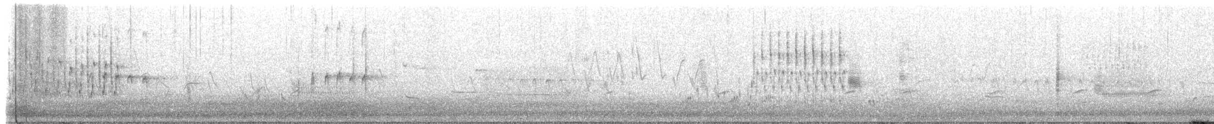Marsh Wren - ML657668325