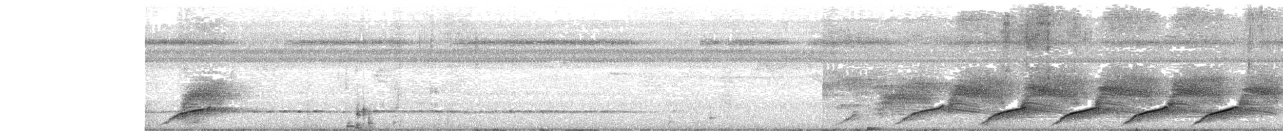 Black-capped Donacobius - ML657670682
