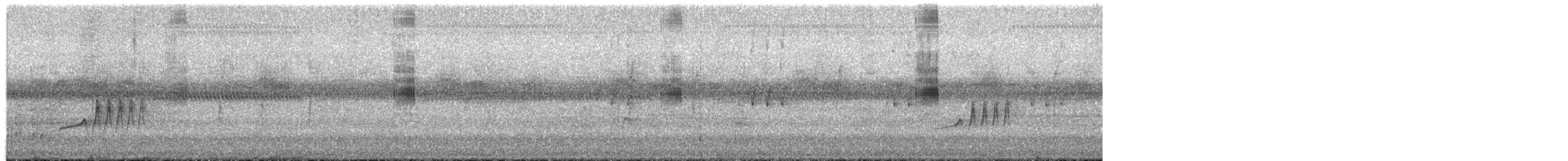 Rostschnäppertyrann - ML657673825