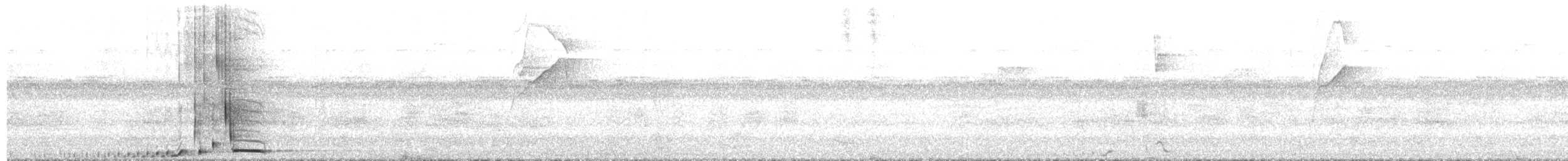 Breithauben-Stirnvogel - ML657673901
