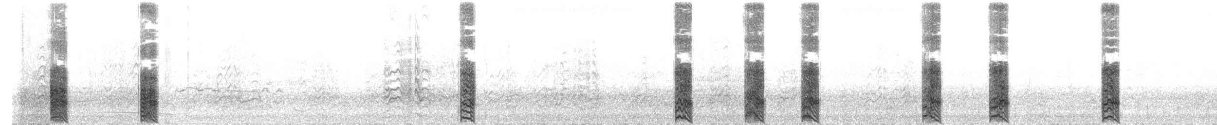 Boninsturmvogel - ML657673972