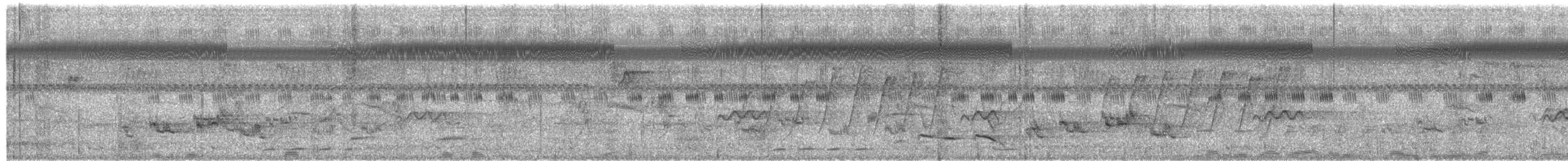 Schwarznackenmonarch - ML657674064