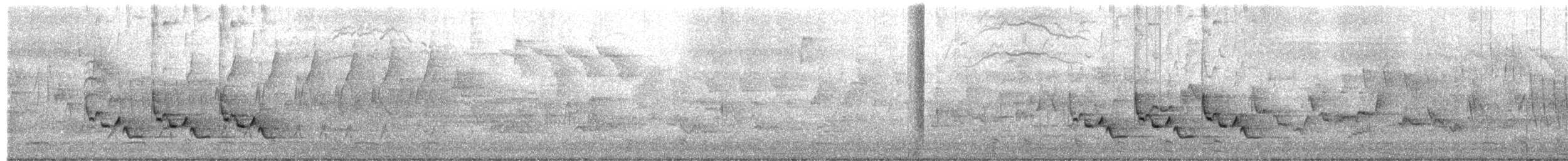 Carolinazaunkönig - ML657674188