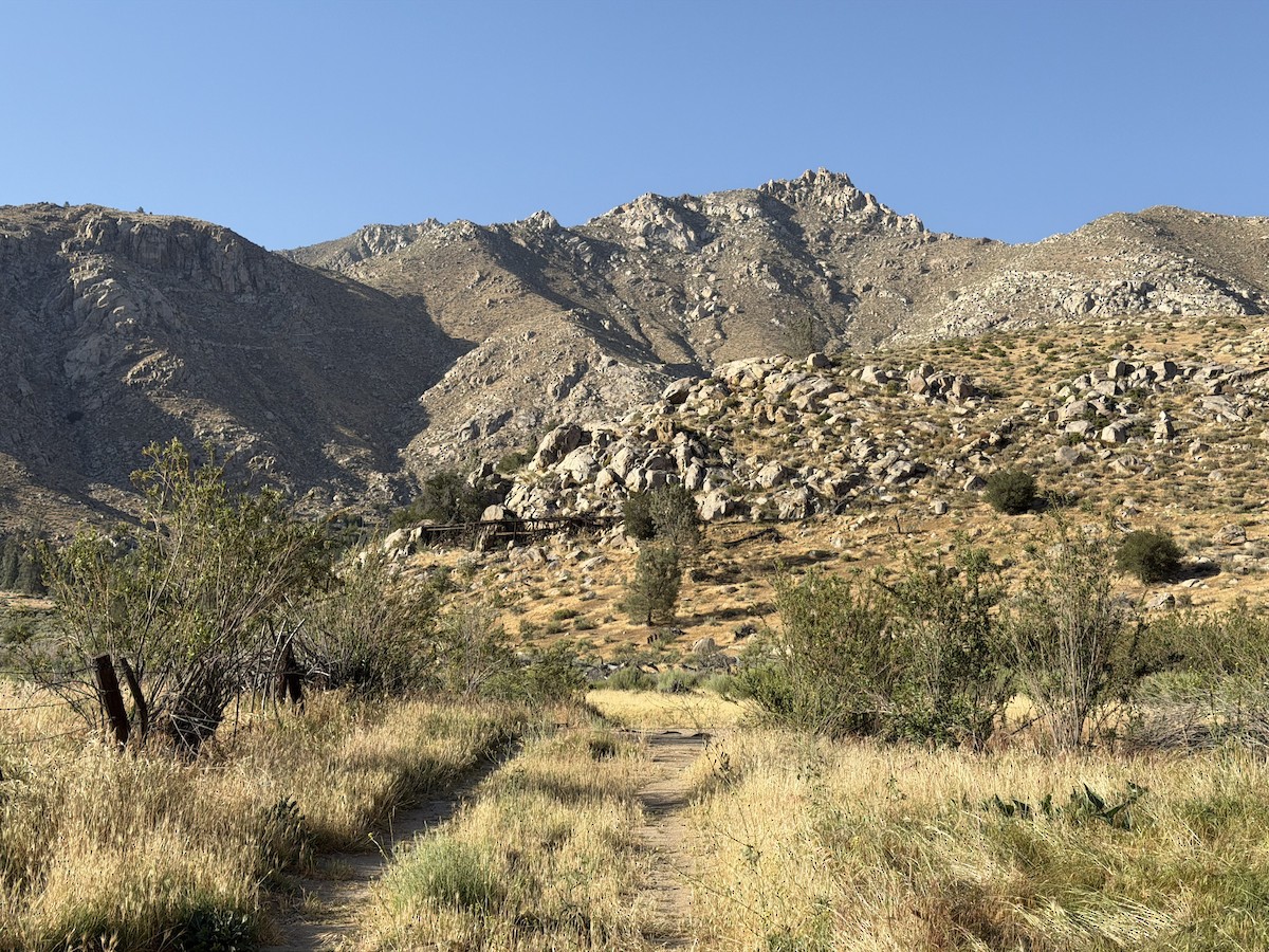 null - ML657682470