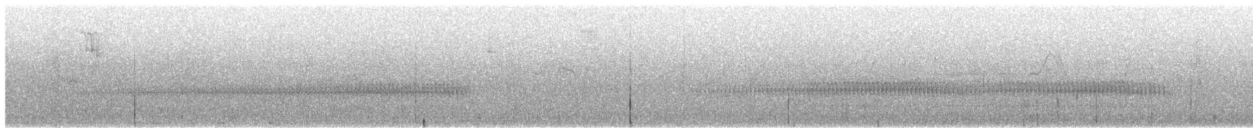 Paramo Tapaculo - ML657686528
