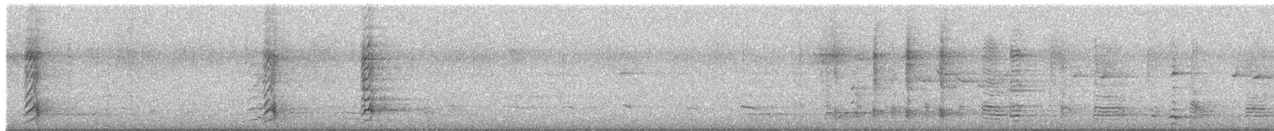 Noisy Friarbird - ML657687060