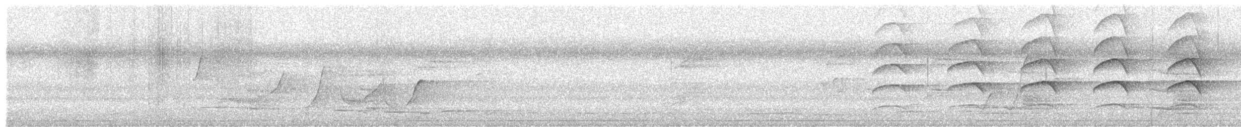 Collared Sparrowhawk - ML657687190