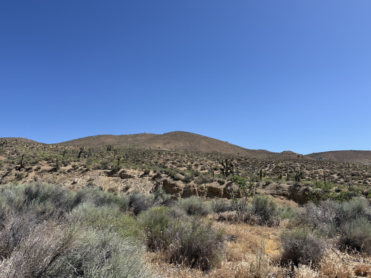 null - ML657699789