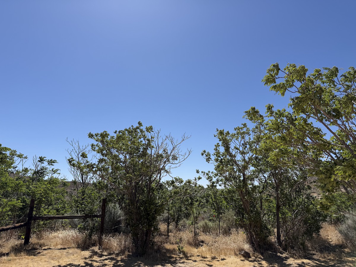 null - ML657699791