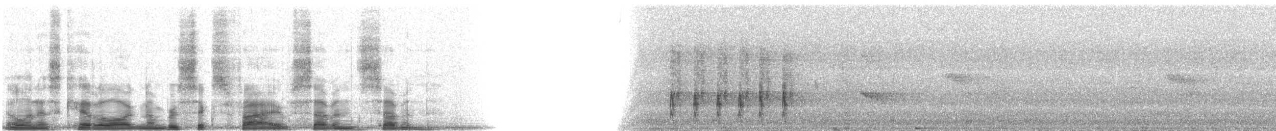 Ringed Kingfisher (Northern) - ML6577