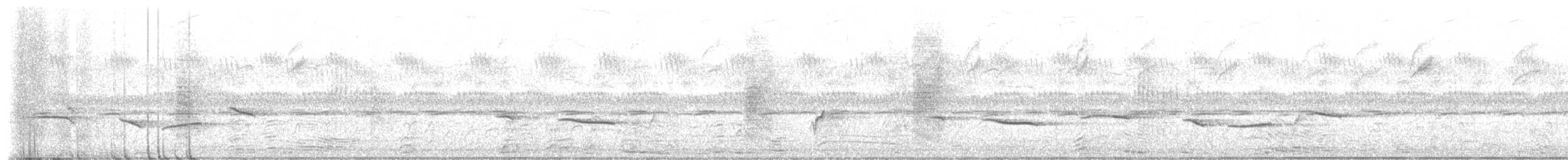 Bearded Scrub-Robin - ML657701084