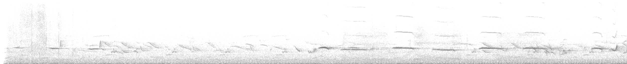 Bearded Scrub-Robin - ML657704318
