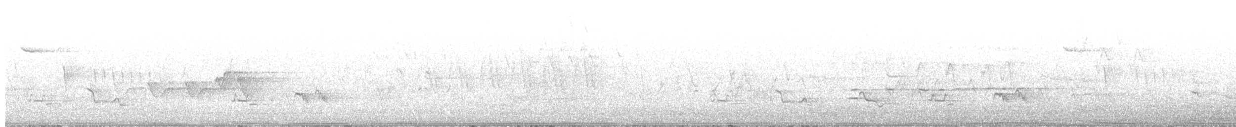 クロズキンアメリカムシクイ - ML657707638