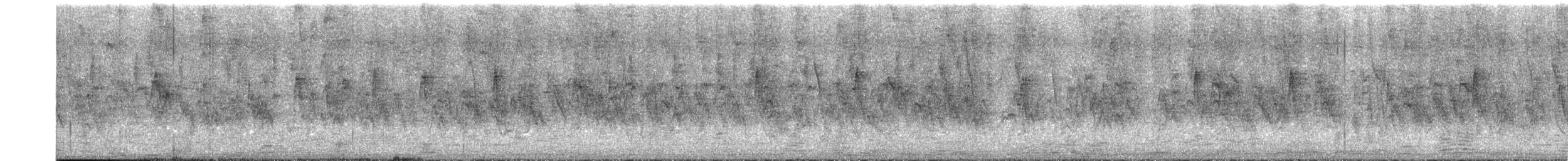 Tortora selvatica - ML657714174