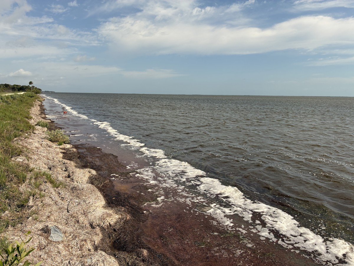 null - ML657716158