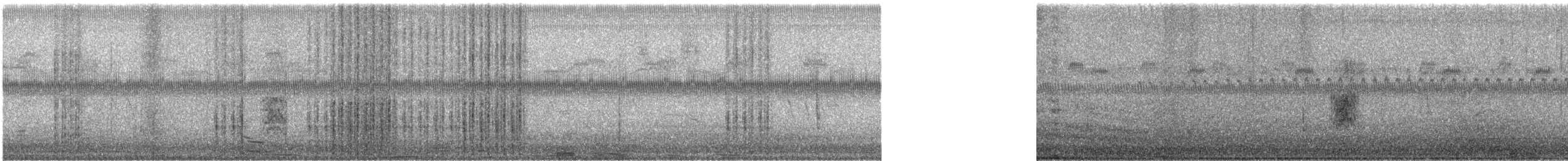 Weißflügel-Seeschwalbe - ML65771811