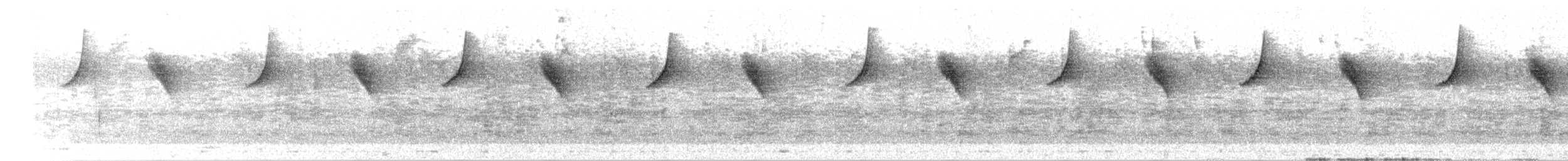 Pink-billed Cnemoscopus - ML657753703