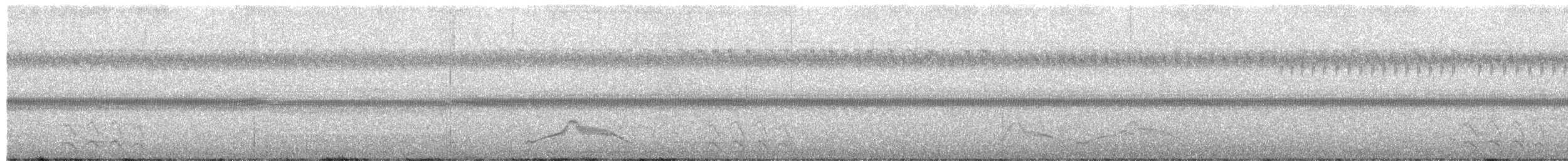 Elf Owl - ML657776177