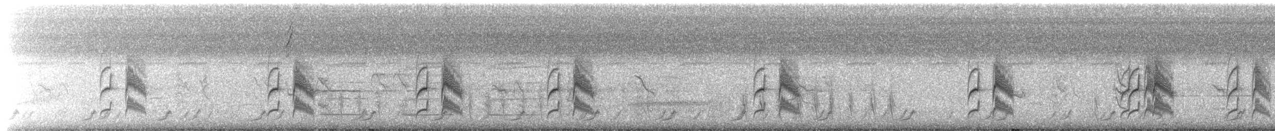 ムナジロオナガカマドドリ - ML657778604