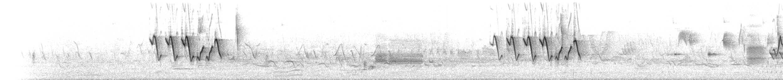Northern Yellow Warbler - ML657781004
