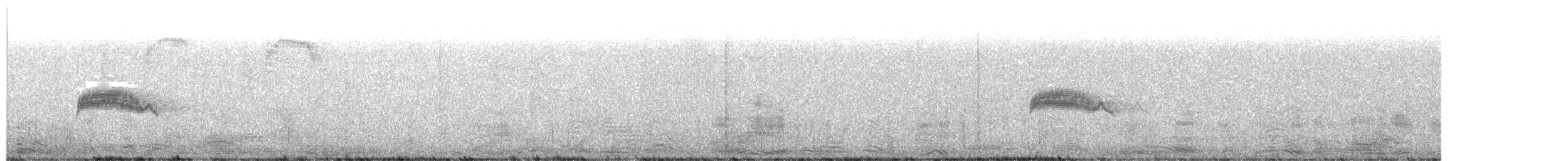 Western Wood-Pewee - ML657781629
