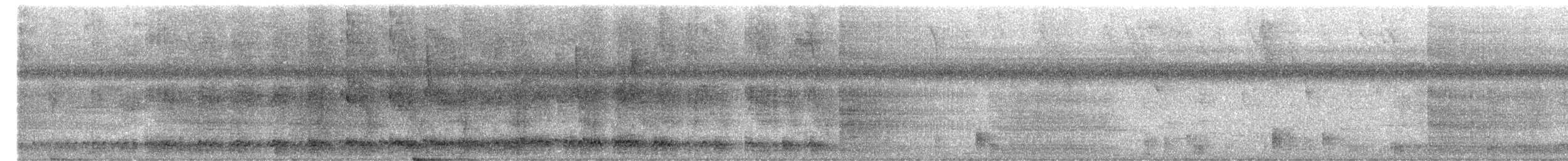 Greater Ani - ML657781759