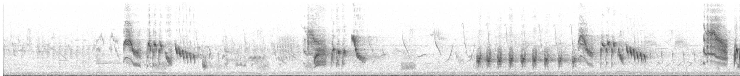 Black-capped Vireo - ML657781850