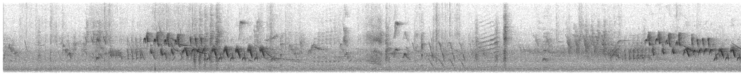 Northern House Wren - ML657781959