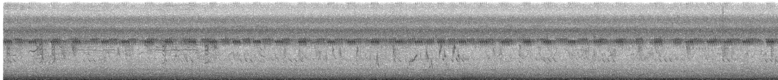 Striated Grassbird - ML657782134
