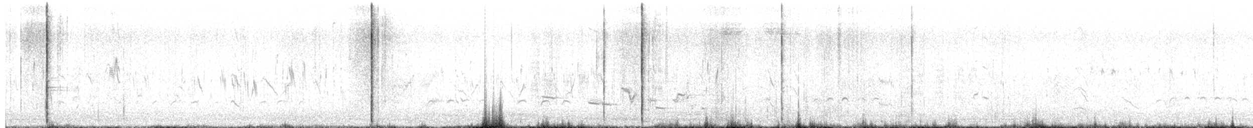Courlis hudsonien - ML657782812