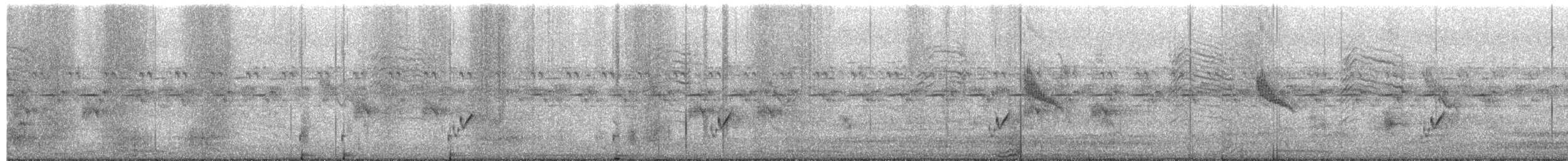 Cisticole à couronne dorée - ML657782826