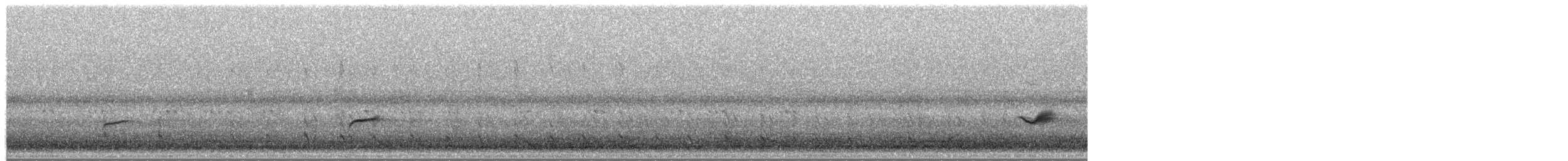 oiseau sp. - ML657782869