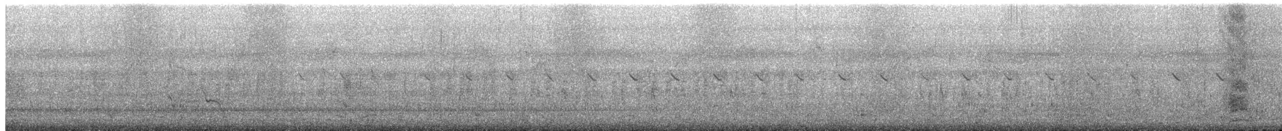 Cisticole des joncs - ML657782906