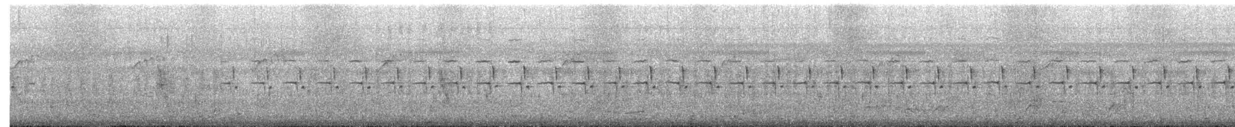 Prinia simple - ML657782912