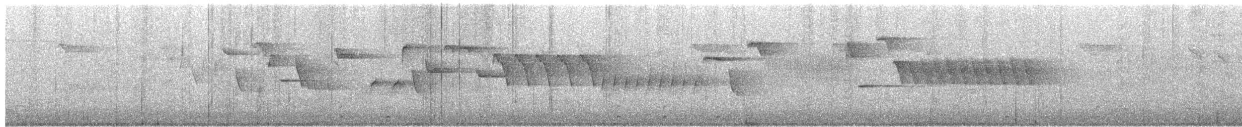 Scricciolo - ML657791632