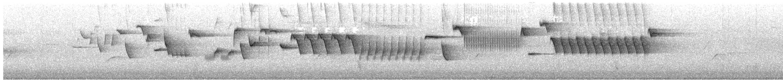 Scricciolo - ML657791633