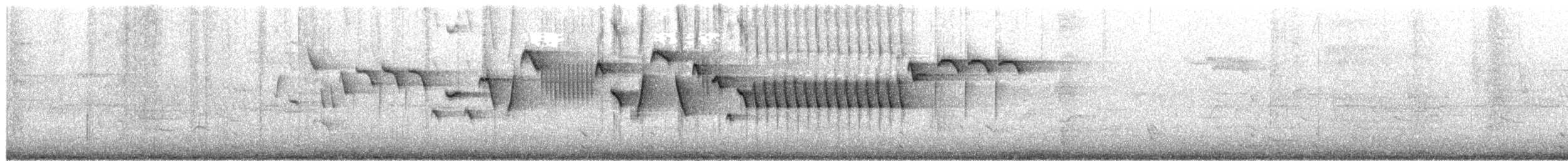 Scricciolo - ML657791636
