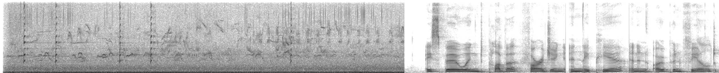 Pavoncella mascherata - ML657791724