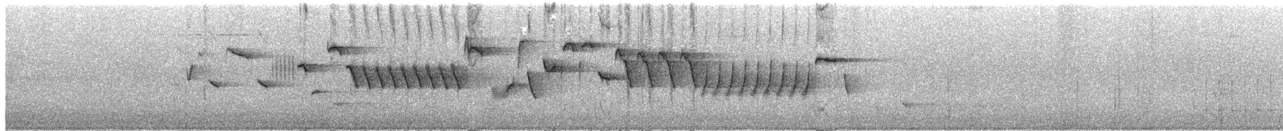 Scricciolo - ML657791932