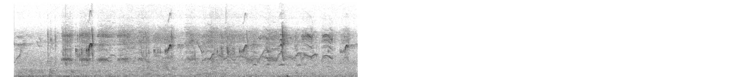 Black-fronted Dotterel - ML657792567