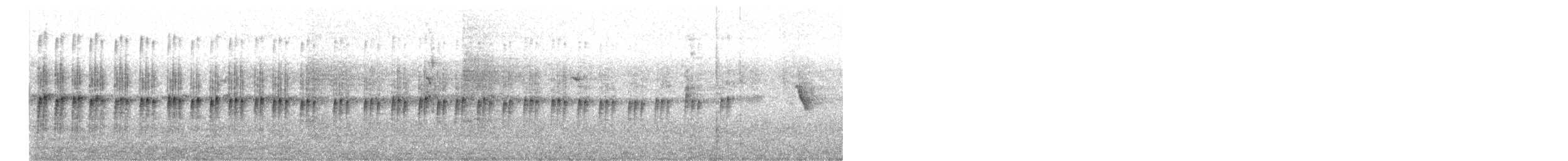 Black-fronted Dotterel - ML657792577