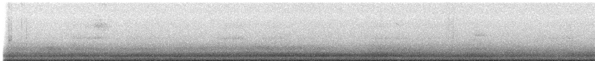 Solitary Sandpiper - ML657792718