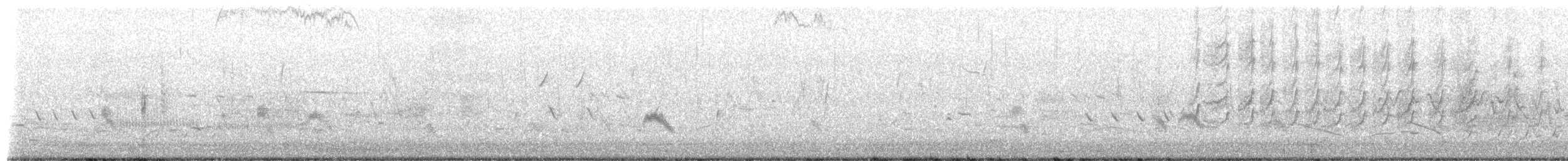 Sedge Wren - ML657792835