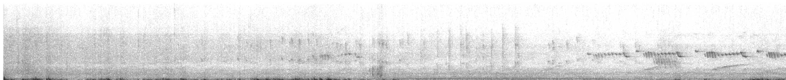 Gray Gerygone - ML657792990