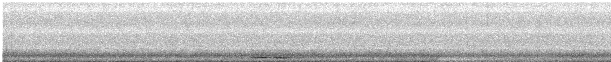 tasmanugle - ML657794072