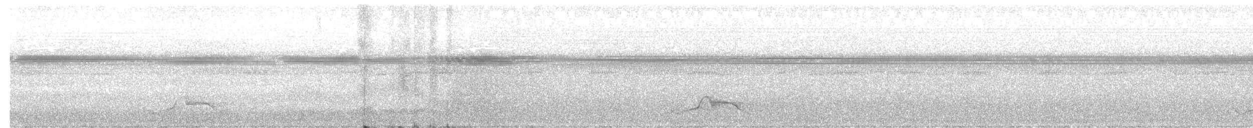 オオヨタカ - ML657796872
