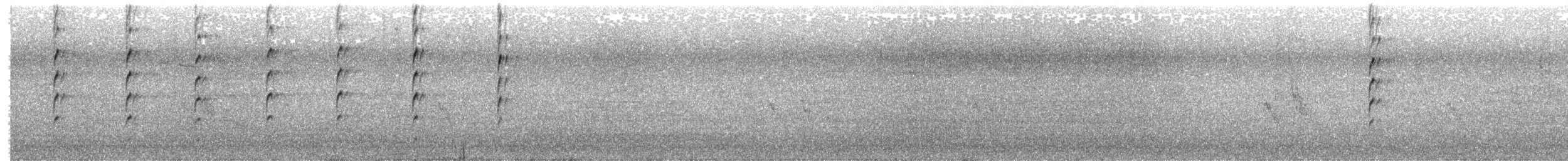 Pavoncella armata - ML657797737