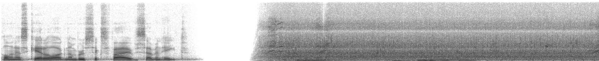 Amazon Kingfisher - ML6578