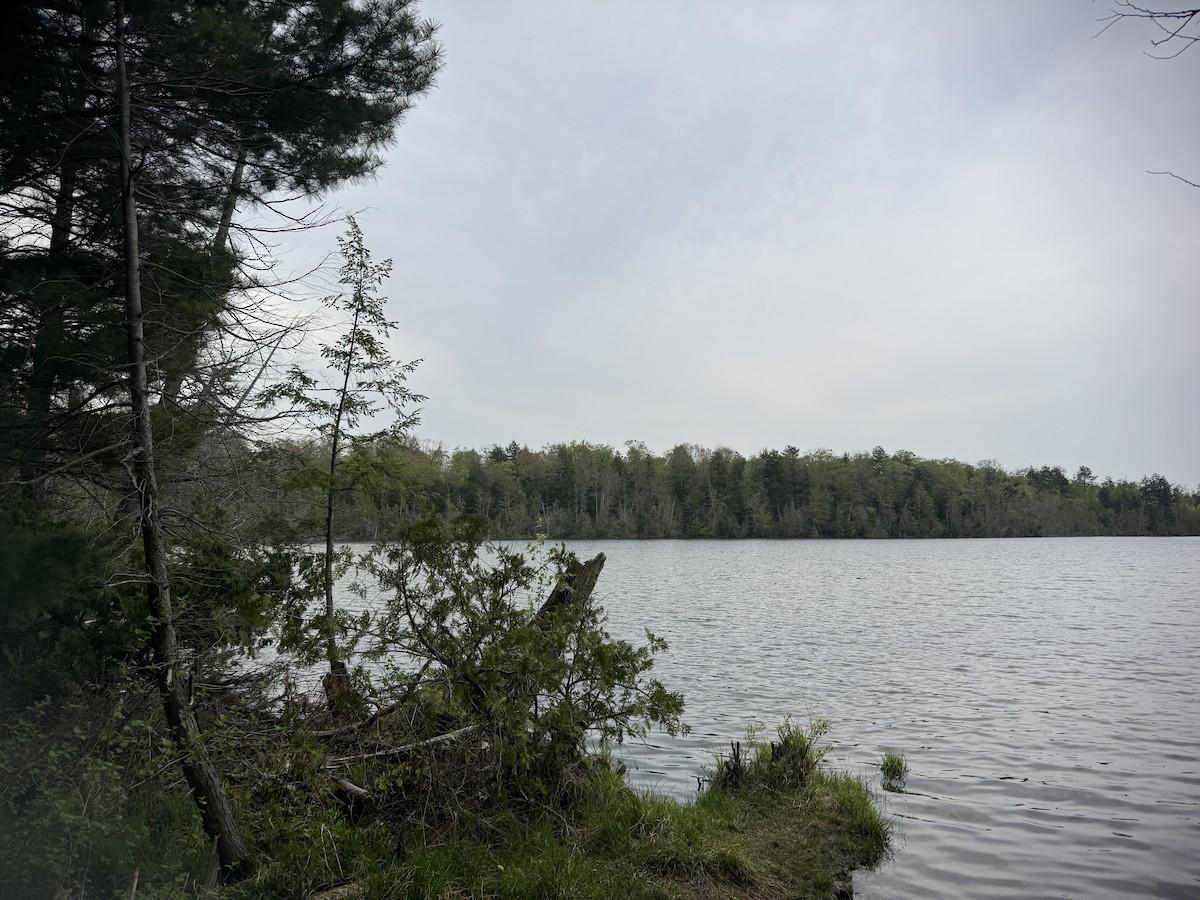 null - ML657804363