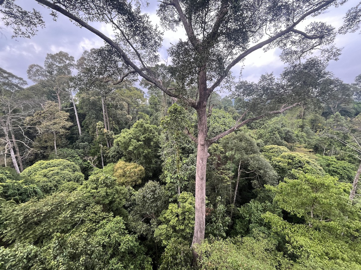 null - ML657804565
